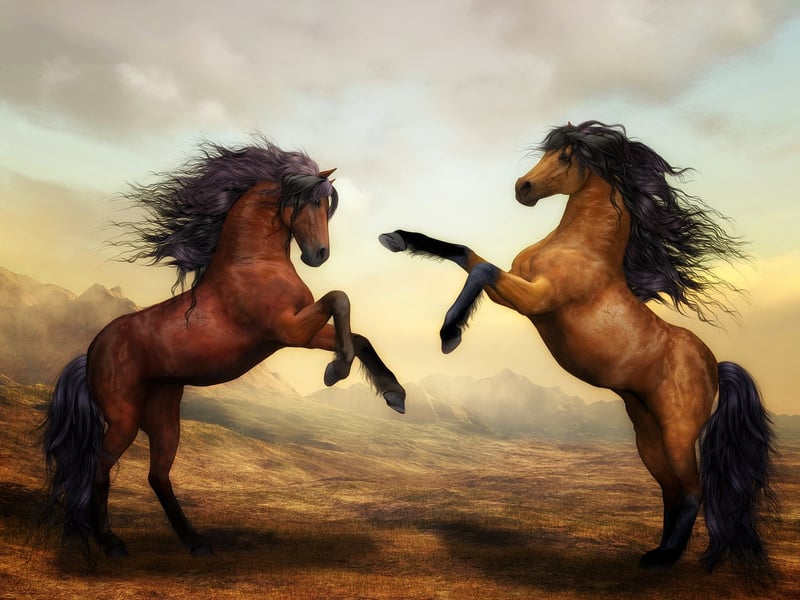 Parting Wild Horse's Mane